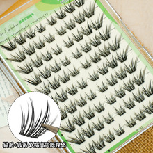 �¿�ٽ�ë���ܺ�ϵ���R��ż؈�zճ�����ִ������W�t����ƽ�ȹ��S