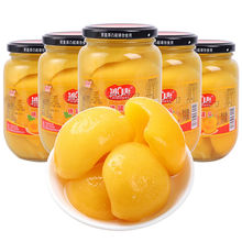 黃桃罐頭大瓶裝水果罐頭510克山楂雪梨什錦菠蘿罐頭新鮮即食