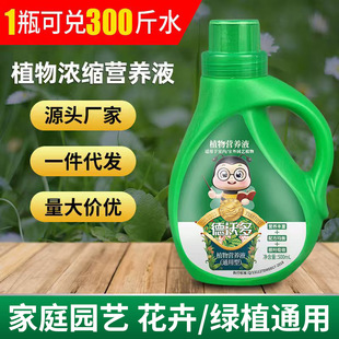 Nutrient liquid plant Universal Soil culture hydroponic potted flower green dill rich bamboo liquid compound fertilizer flower fertilizer