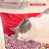 Гнездо для домашних животных плюшевые гнездовые гнездовые гнездо