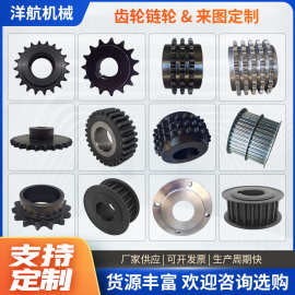 预定同步带轮单双排齿轮链轮 伞型齿轮非标任丘链轮厂