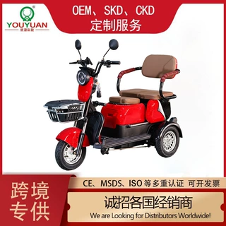 X3电动三轮车外贸出口专用源头工厂直供支持定制批量生产