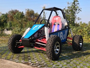 Arctic Sky Bjs Manufacturer Direct Sales 350Cc Four-Wheel Independent Suspension Drive Shaft Beach Car Water-Cooled Single Kart