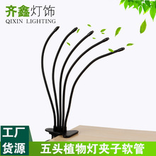 ֲ����׼�LEDֲ�����L���^�A���a����⚤��������USB�������L��