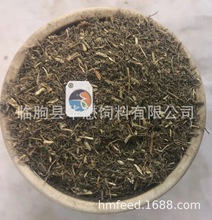 槐米渣 粗槐米渣结块 金针菇杏鲍菇 甜叶菊渣