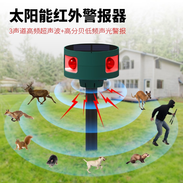 N911S 초음파 모델