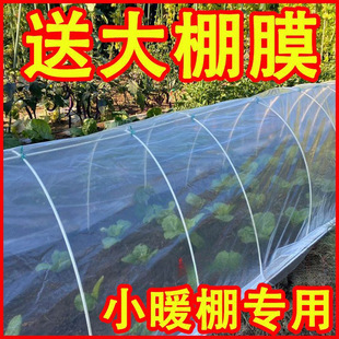 Small Arch Shed Agricultural Bend Pipe Household Agricultural Tools Vegetable Shelf Thermal Insulation