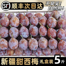 �½���÷���r5��Y�з��m����������ˮ���������������l��S���]3