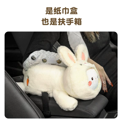 Car tissue box/set: armrest box rear row