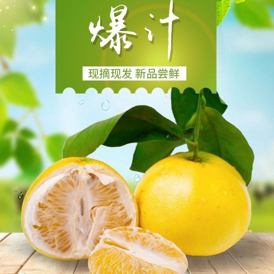 台湾葡萄柚纯甜爆汁孕妇水果当季非南非红心箱装黄金西柚
