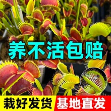 �¿ω��ʳ�x��ʳ�˻���òݲ��ò�ʳ�ò�̖���x��Ȥζ��������