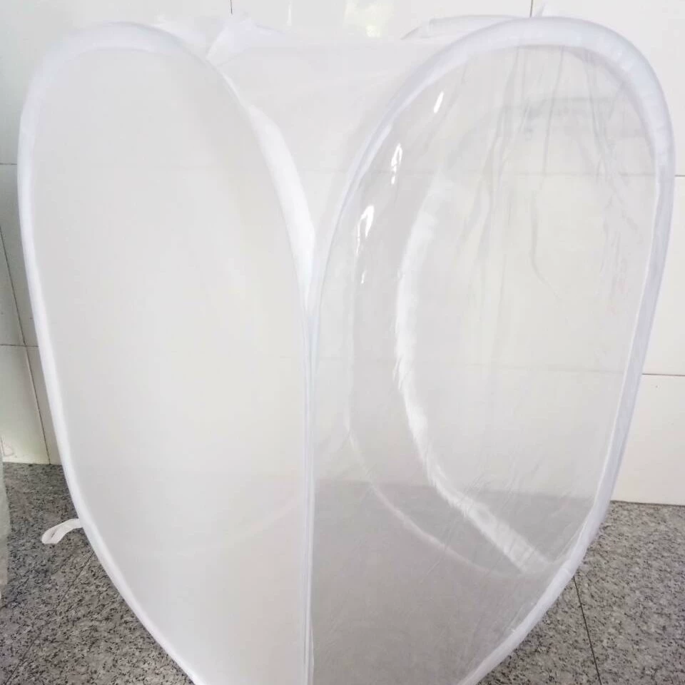 M Бабочка Кузнечик Богомол клетка помидор цветок насекомое сетка коробка инкубатор семян белая коробка для рассады