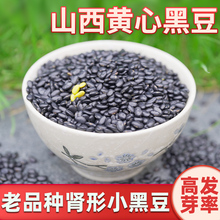 山西小黑豆 肾形黄芯黑豆黄仁醋泡小黑豆可发芽豆杂粮500g
