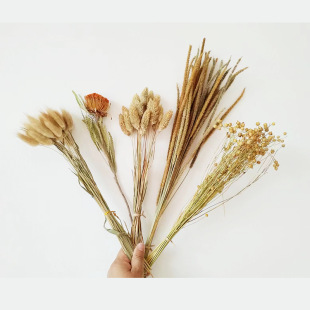 ��β�ݿ옷������С�JȔ��ʯ��С�����ȼ����~޹�²������Ҹɻ�