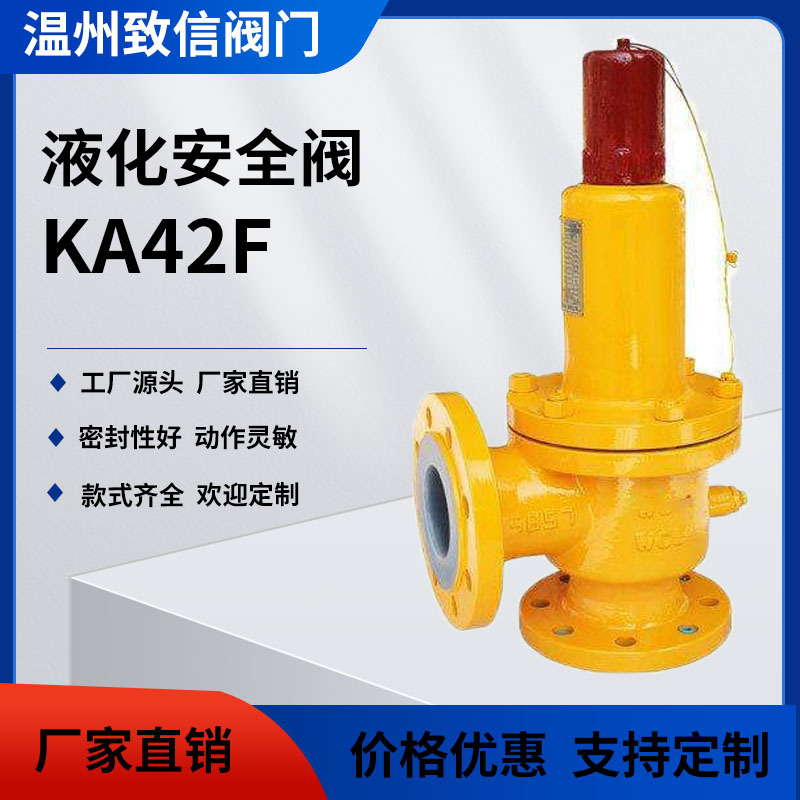 防爆型液化石油气安全阀 A42F系列 安全回流泄放阀