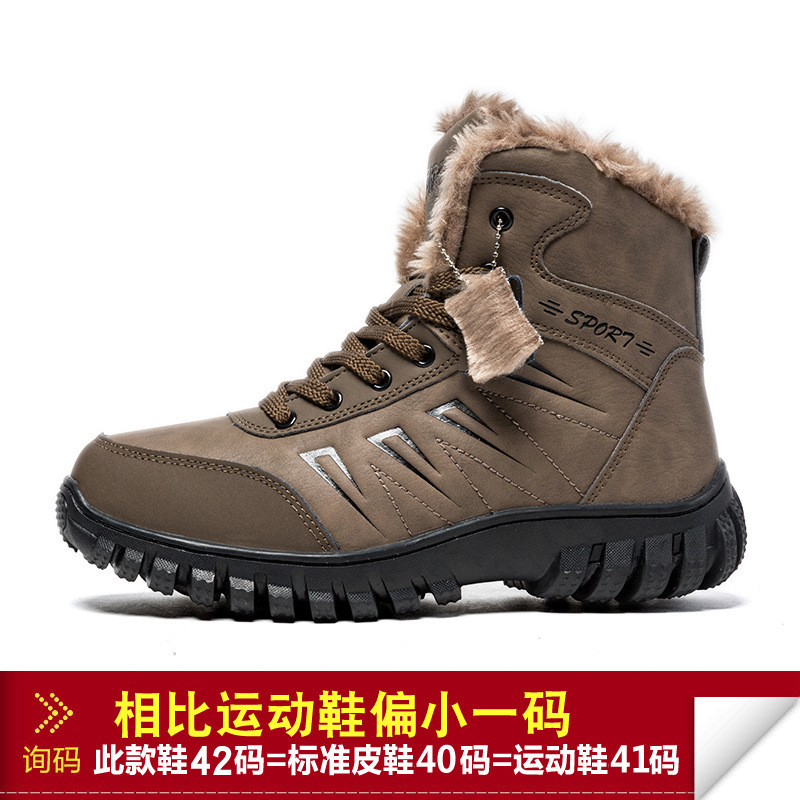 1818 브라운