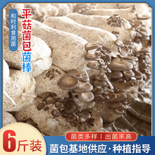 ƽ���҃����Կ�ʳ��Ģ����������N�r�ҷN�����Ƿ��̨�Nֲ���N