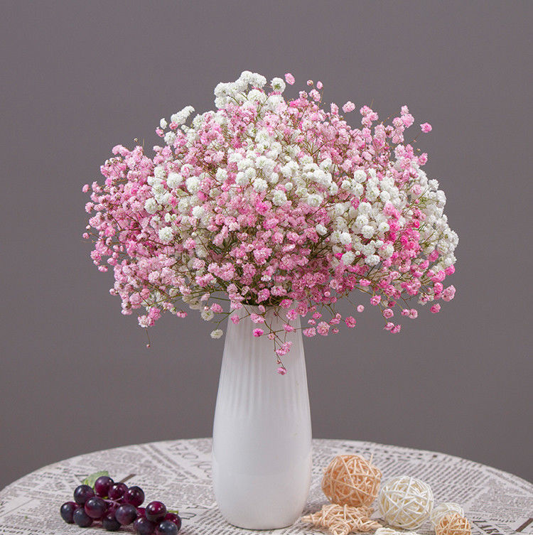 d78dfc12-59f9-428f-a238-fab0b564dceb.jpe