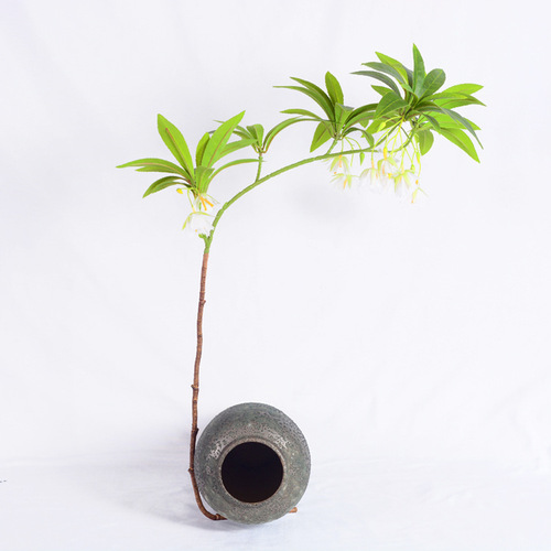 Simulated water stone fig flowers and leaves Nordic green plants small fresh feel plant decoration ornaments wedding photography landscaping fake flowers