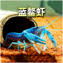 �{���r�^�p�r���w��ˮ�����r���_���_���rˮ�ݸ׺������B���w�r