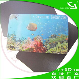 ���������u�N�S��_�������N�r��_3D�������N���l