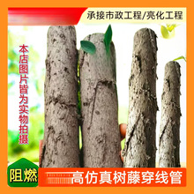 ���ٴ������@�����ܛ�������b�Ƥ��늾���|�o�׹ܽ���