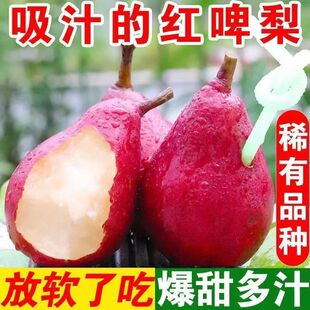 陕西红啤梨软糯香甜太婆梨现摘核小无渣新鲜应季红皮水果自然成熟-阿里巴巴