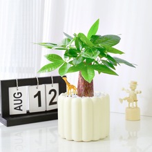 �lؔ��С�����k���҃�����Gֲ����ȩ�����՚������ꎺ��B��ֲ��