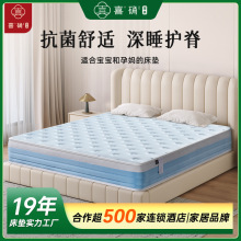 �������z���|ϯ��˼�Ƶ깫Ԣ���ު������b����22cm��ܛӲ�m���o��