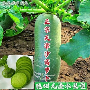 ���ڸ������ɳ�C�}�� ���b�͸ߜ� ���ˬ����Ƥɳ�Cˮ���}���N��