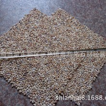 黄金沙自由铺贴珍珠黄小理石网贴石水洗石水刷石鹅卵石马赛克