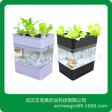 农业家庭养鱼种菜柜鱼缸水培种植箱鱼菜共生蔬菜种植机无土栽培箱