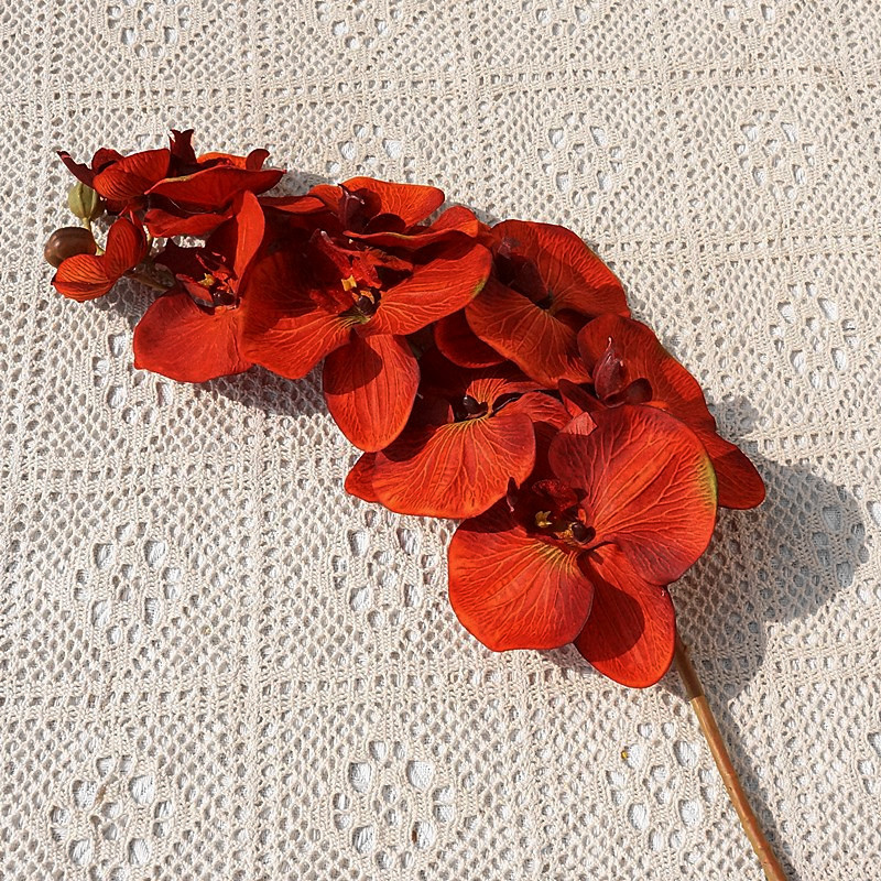 O1CN01FLjT2s1s540oLhzDn_!!4036