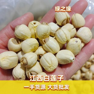 2024ȥоɏ��500g��؛�خa�o���r���Ԯa�ֹ��V�����İ�ɏȥо�o��