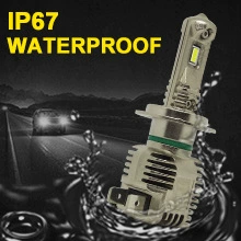 LED lantern, bulb, (Cross-border trading)