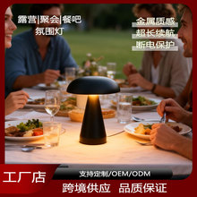 爆款跨境卧室户外露营氛围灯台灯极简ins床头创意三色变光蘑菇灯
