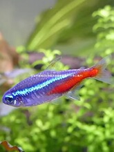 �t�G���~��̖��ɏ���Ꭷ�^�p�~�ݸ�Ⱥ�Ο����~С���~��ˮ���w�S��