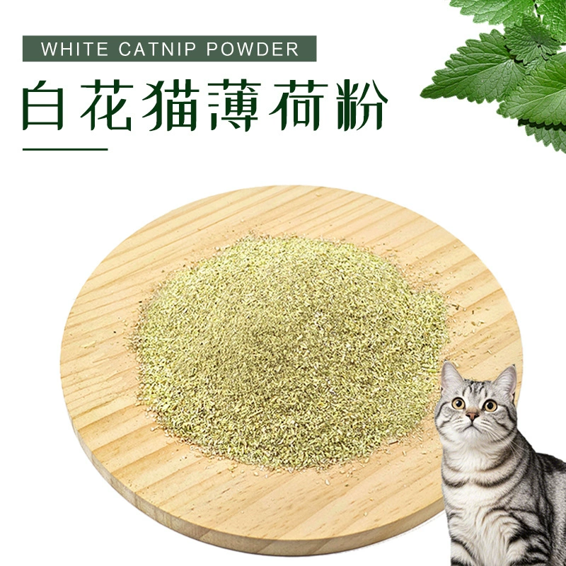 Кошачья мята в мелком порошке, белая, мятная, для игрушек, сырье, оптом, 500 г, наполнитель для игрушек для кошек, кошачья мята