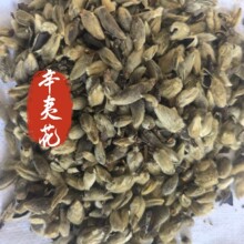 ���Ļ�500�����Ļ�ë����؛������ș�I����ș�����l���۬F؛����