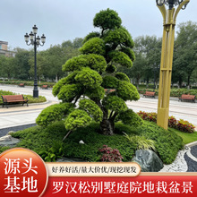 �_�h�����͘��繤�̾G���e��ͥԺ�����辰��ľ�ļ�������������