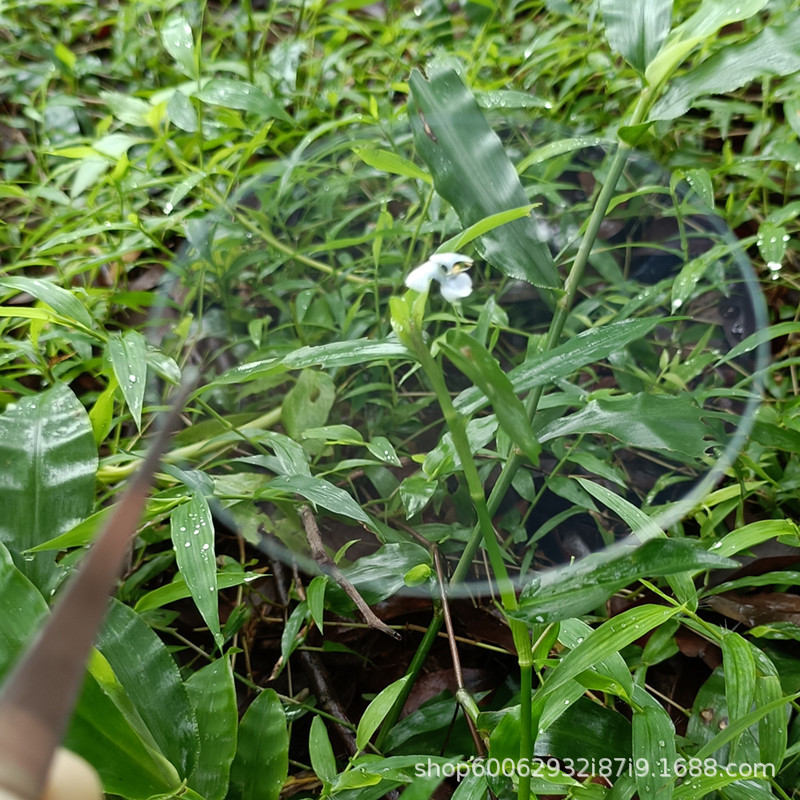 直供PVC镜片PC镜片 PVC镜面 不破碎镜片 PET圆形镜片PC塑料片批发