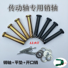 �����C�����S�N�S�����Cʮ�ֹ��f�򹝲��N���I�S��N��12.9��Ӳ��