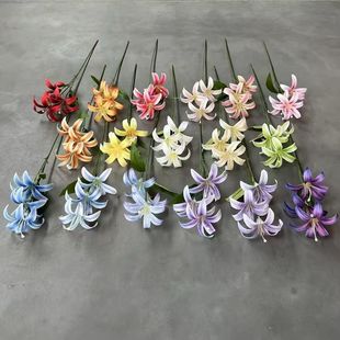 ����3�^��߅�ٺϻ���c�ٻ��Ҿ��b�ˇ�[�������廨��ˇ�[����