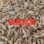 猪牙 猪门牙 猪獠牙 仿象牙珠子原料 古玩景区货源 项链手链原料