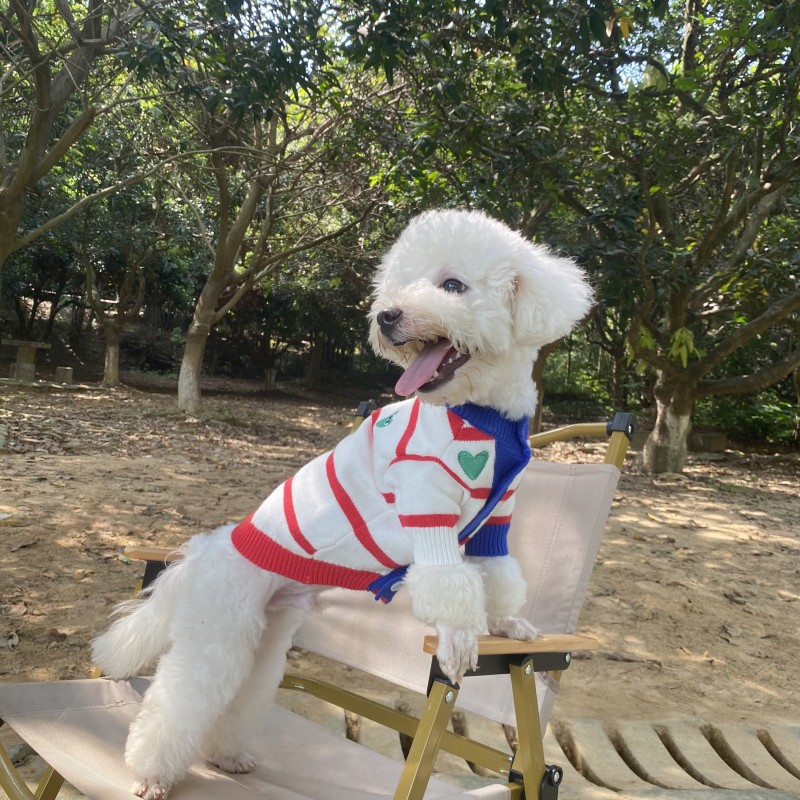 공장 준비 재고 애완 동물 스웨터 도매 개와 고양이 가을과 겨울 대비 색상 가디건 유행 브랜드 니트 따뜻한 중소형 셔츠