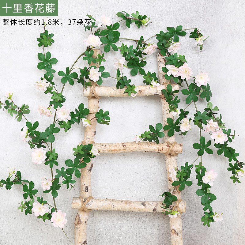 Ten Li Xiang Flor Vid Rosa 1 Pieza