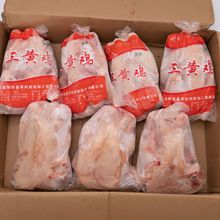 整雞新鮮實惠9.5kg/箱三黃雞老母雞西裝雞現殺土雞童子雞炸雞原料