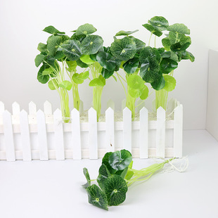 �羳���l�Ҿ��bGֲ�����ָк��~ �����~�X���~��ˮ���~�X��