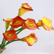 PU�R��ɏ���R�dINS�L�ָк���羳���滨�S�ҼҾ��b�c�ٻ�