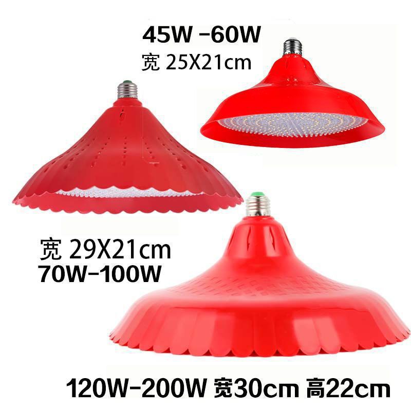 水果灯可调色地摊夜市led生鲜灯12V-85v调色电瓶灯低压摆摊水果灯|undefined